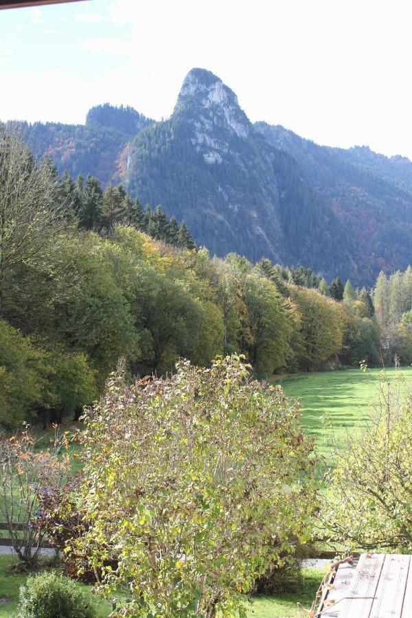 Ferienwohnungen Almrausch โอเบอร์อัมเมอร์เกา ภายนอก รูปภาพ